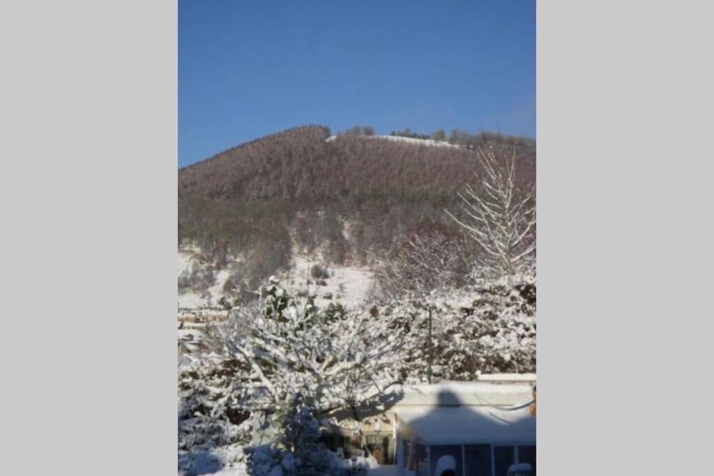 Garden Suburbs Cottage Crosskeys Bagian luar foto